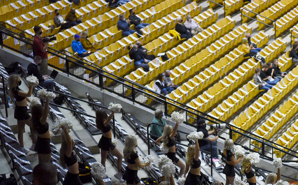 Fans and cheerleaders watch as the Tigers play against the Rebels